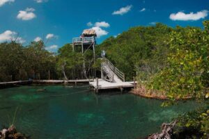 Cenote Yalahau Holbox