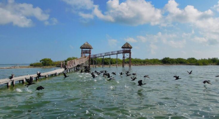 isla pajaros holbox