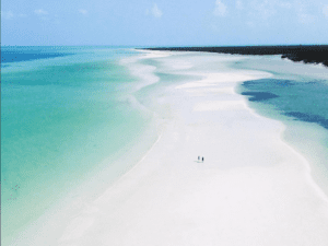 punta mosquito holbox