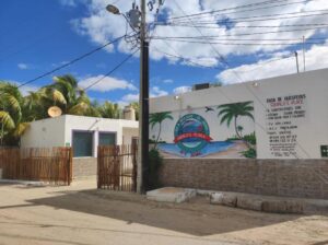 Squalo's Place Holbox