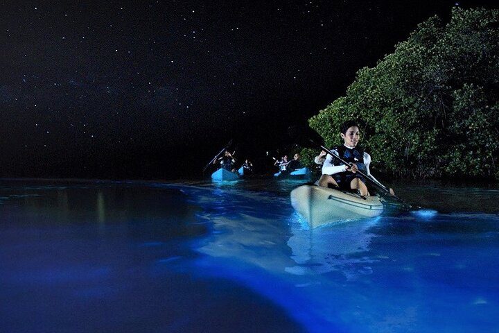bioluminiscencia holbox