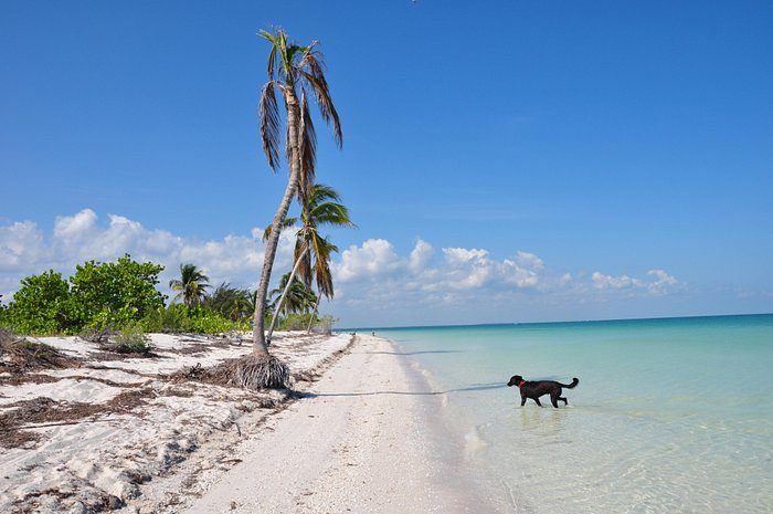 Las Mejores Playas De Holbox Isla De Holbox