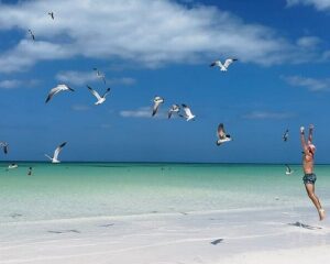 vida silvestre de holbox