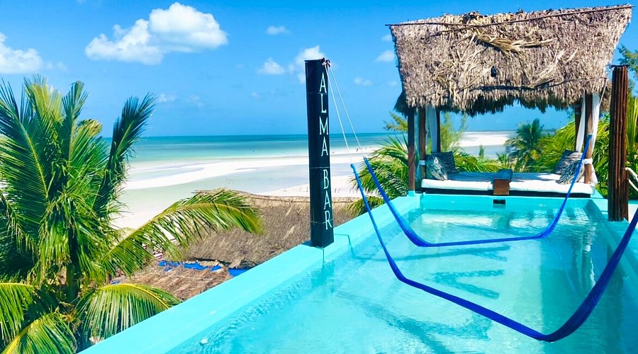 Top 5 Hoteles en Holbox Frente al Mar