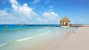 tours a holbox desde cancun precios